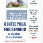 Seniors-yoga-poster